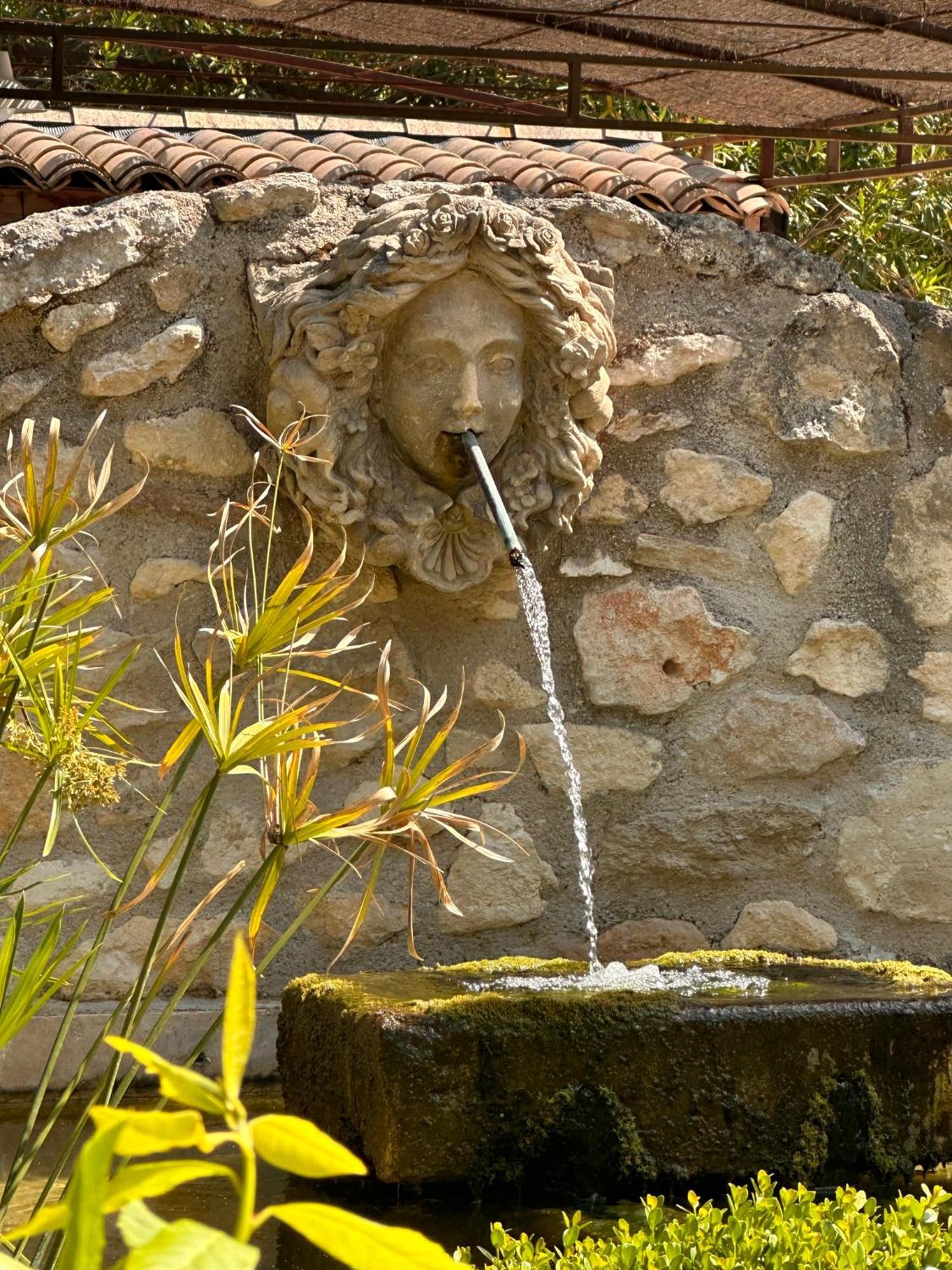 Mas Des Bambous Hotel Saint-Remy-de-Provence Exterior photo