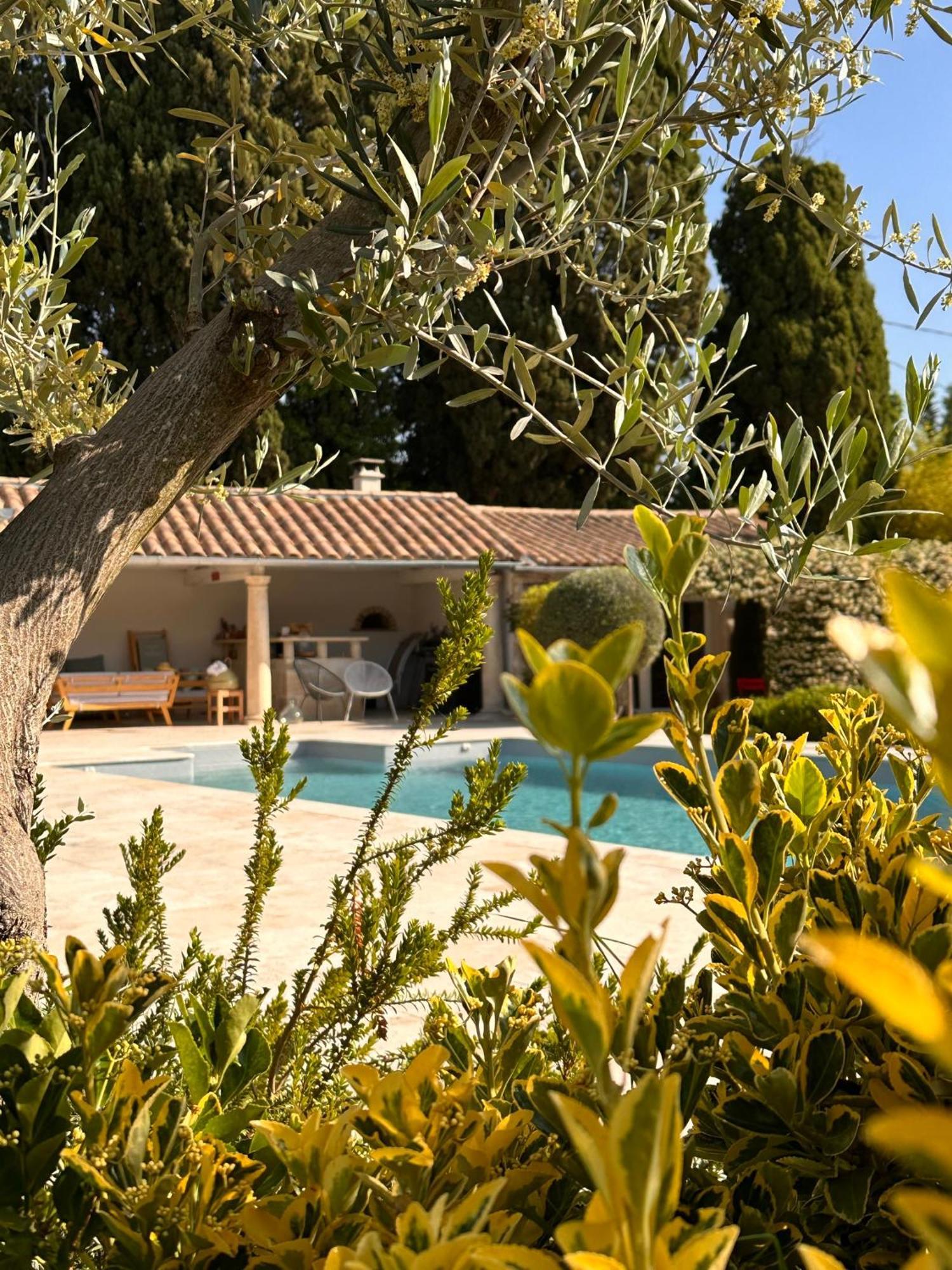Mas Des Bambous Hotel Saint-Remy-de-Provence Exterior photo